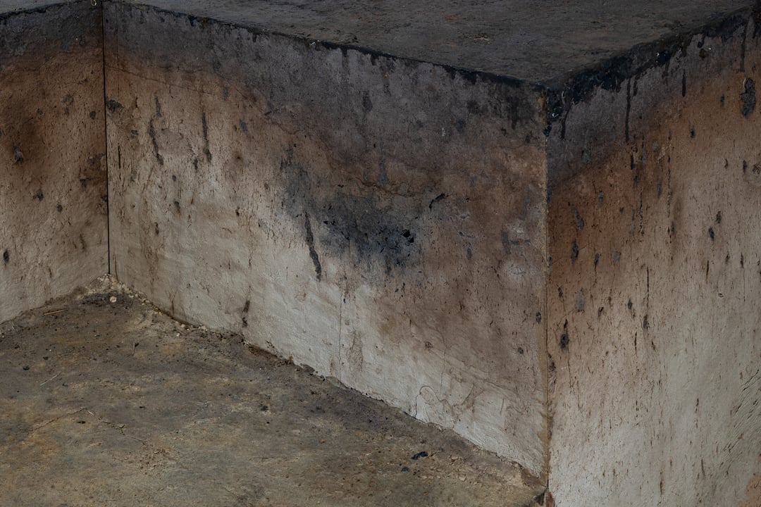 Mesolithische vuurplaatsen