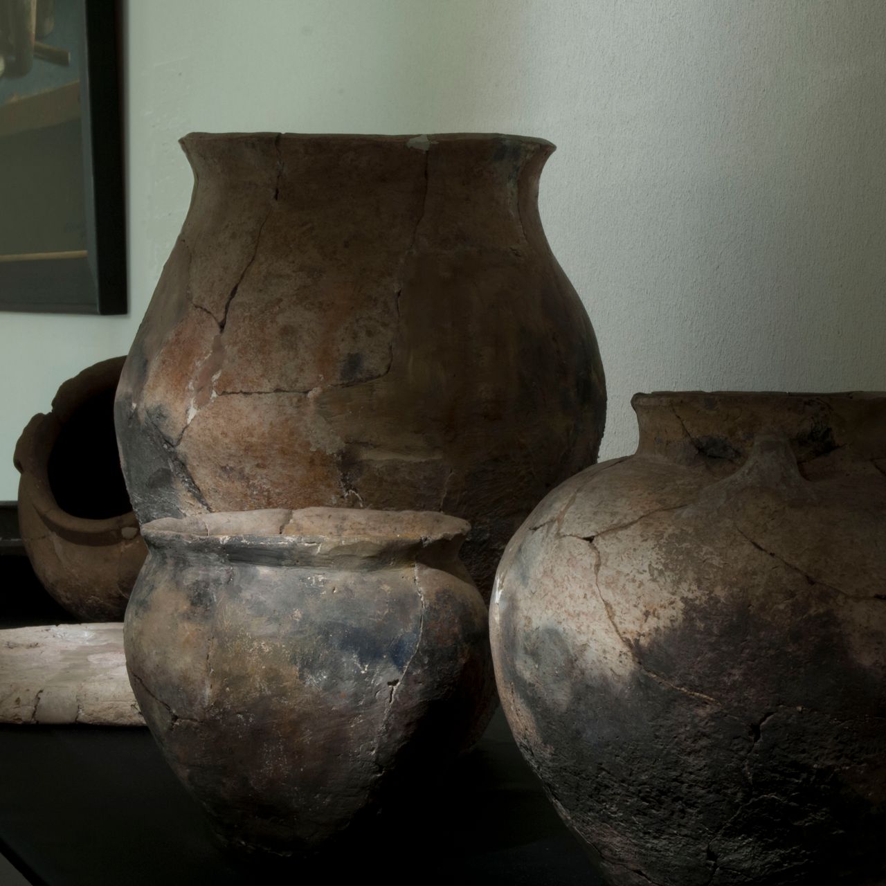 Museum Wierdenland