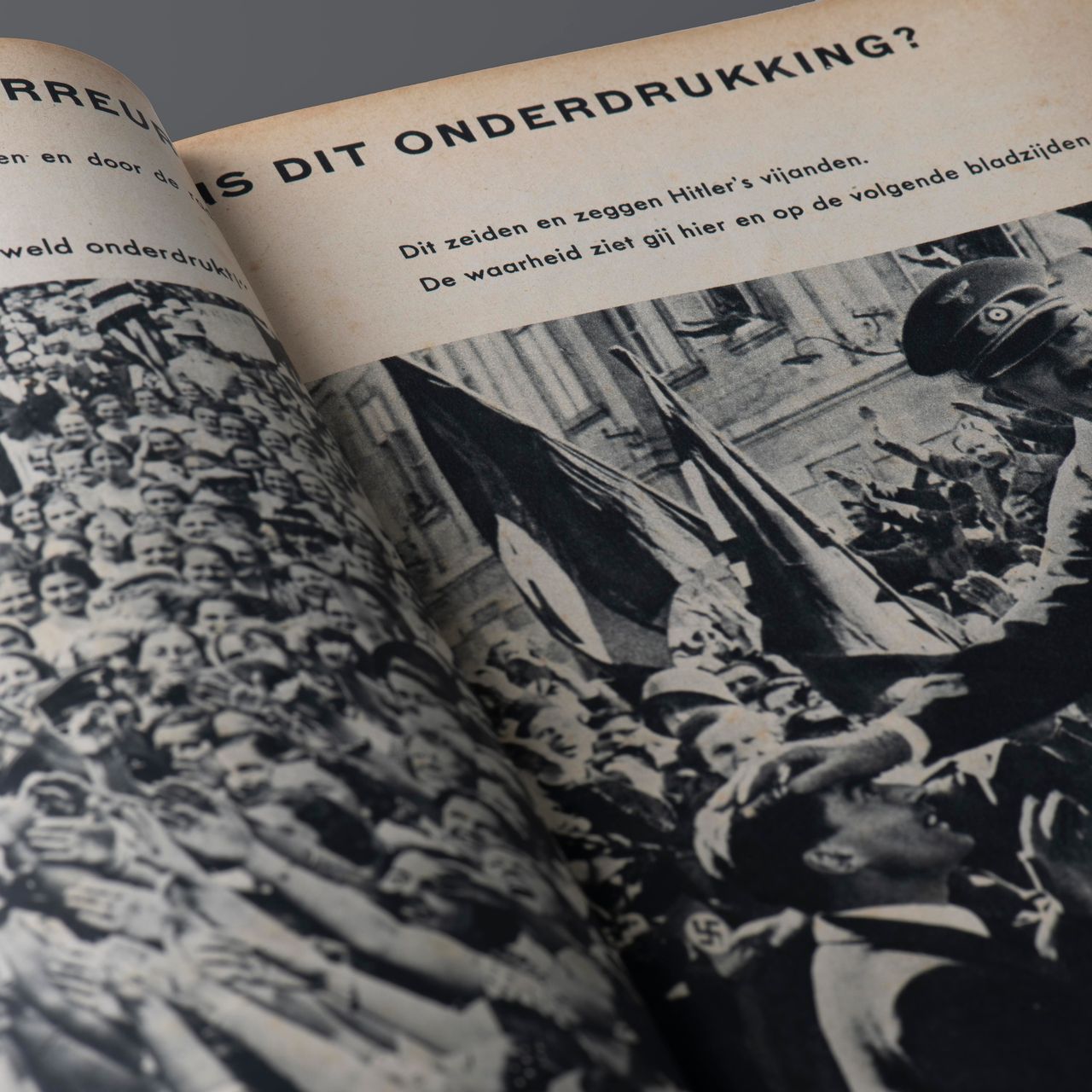 De 'waarheid' over Hitler