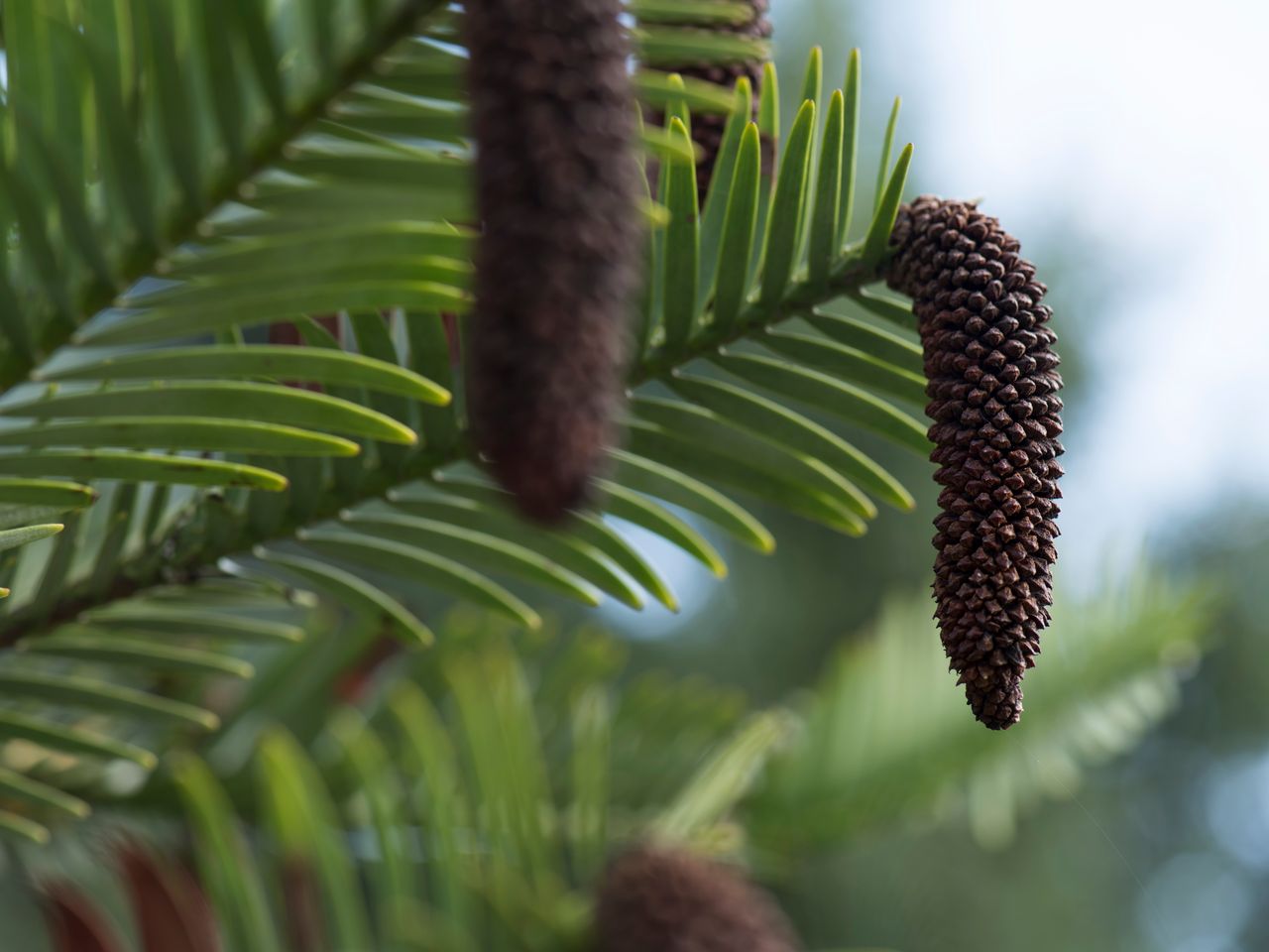 Hortus Botanicus Haren