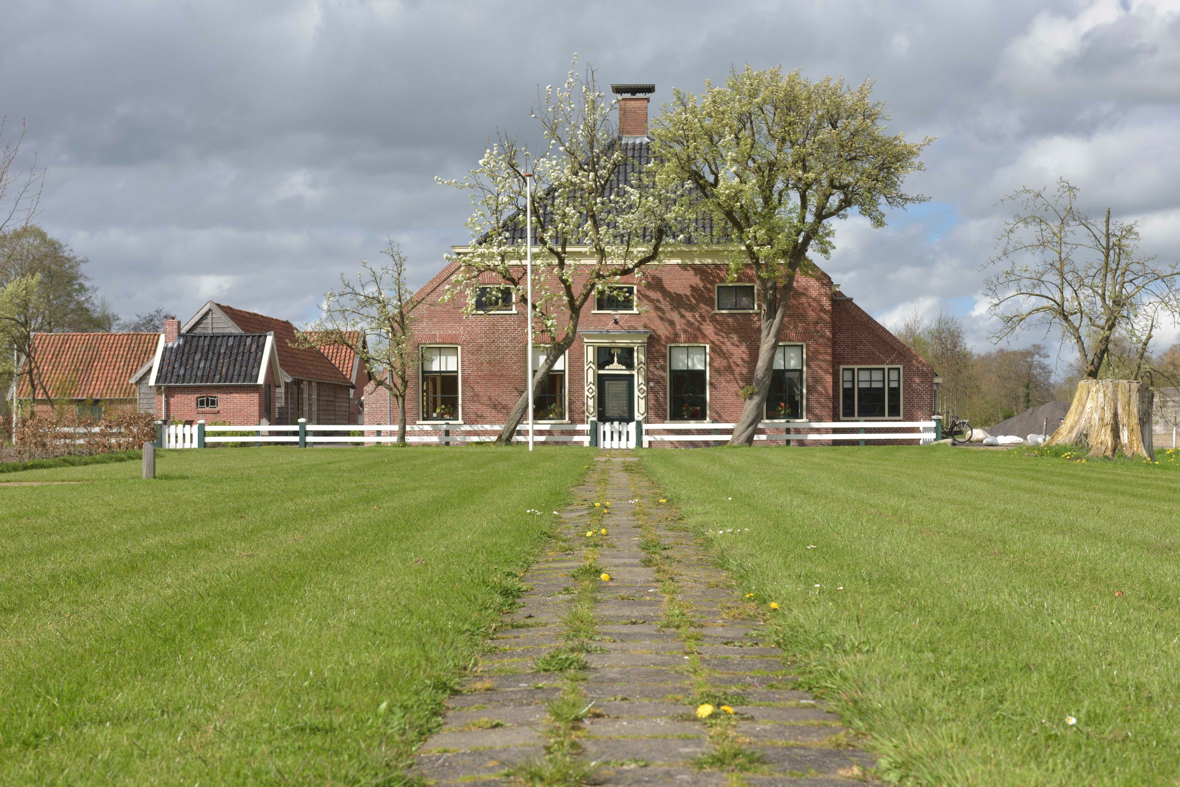 Drie bomen als tijdklok