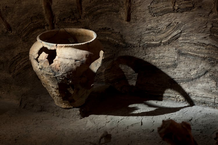 De terugkeer van de huttentut