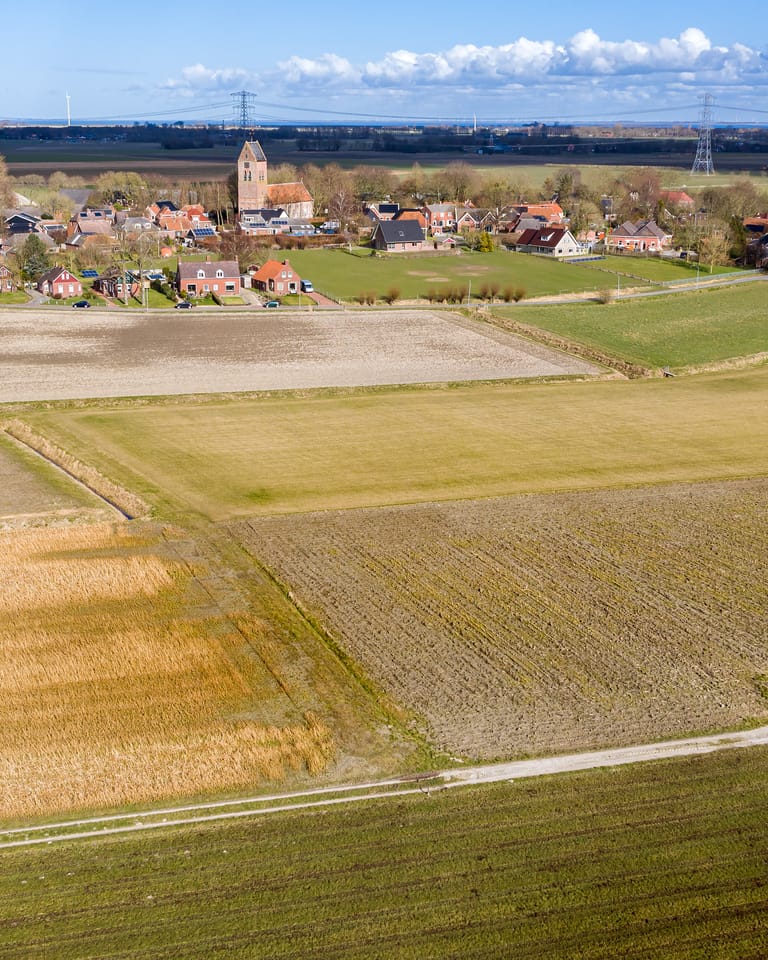 Vroegmiddeleeuws grafveld