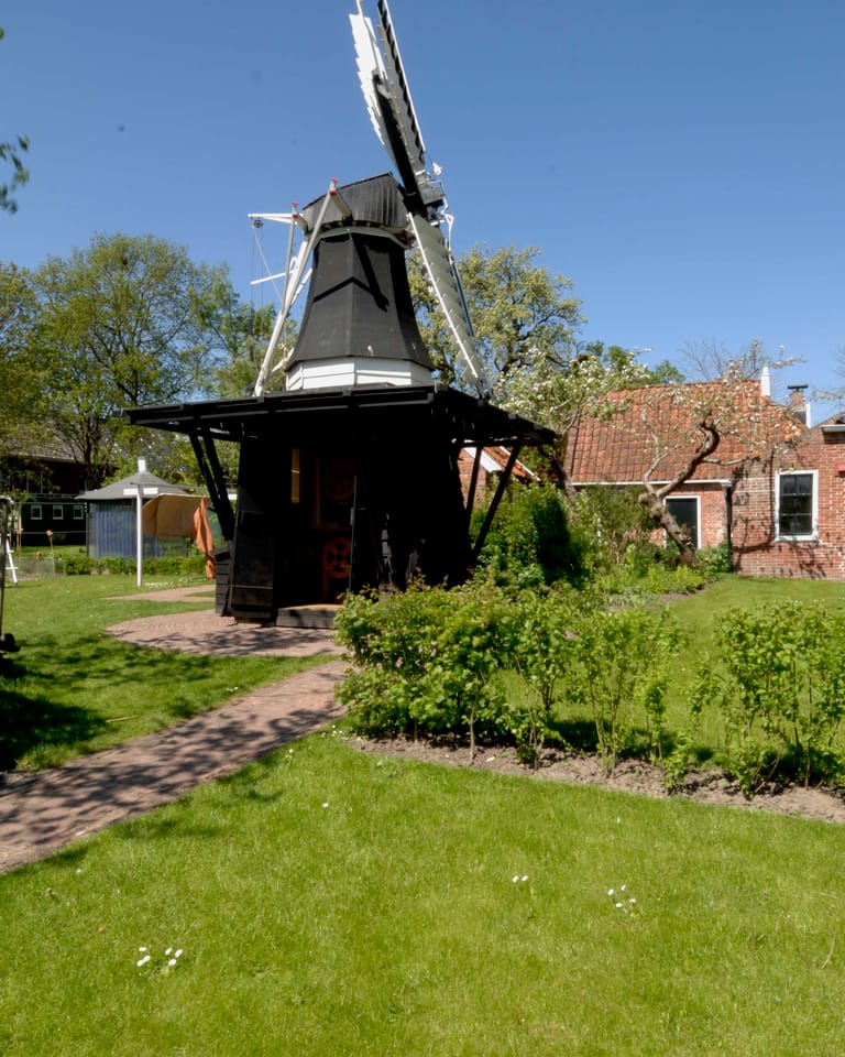 De herrijzenis van De David