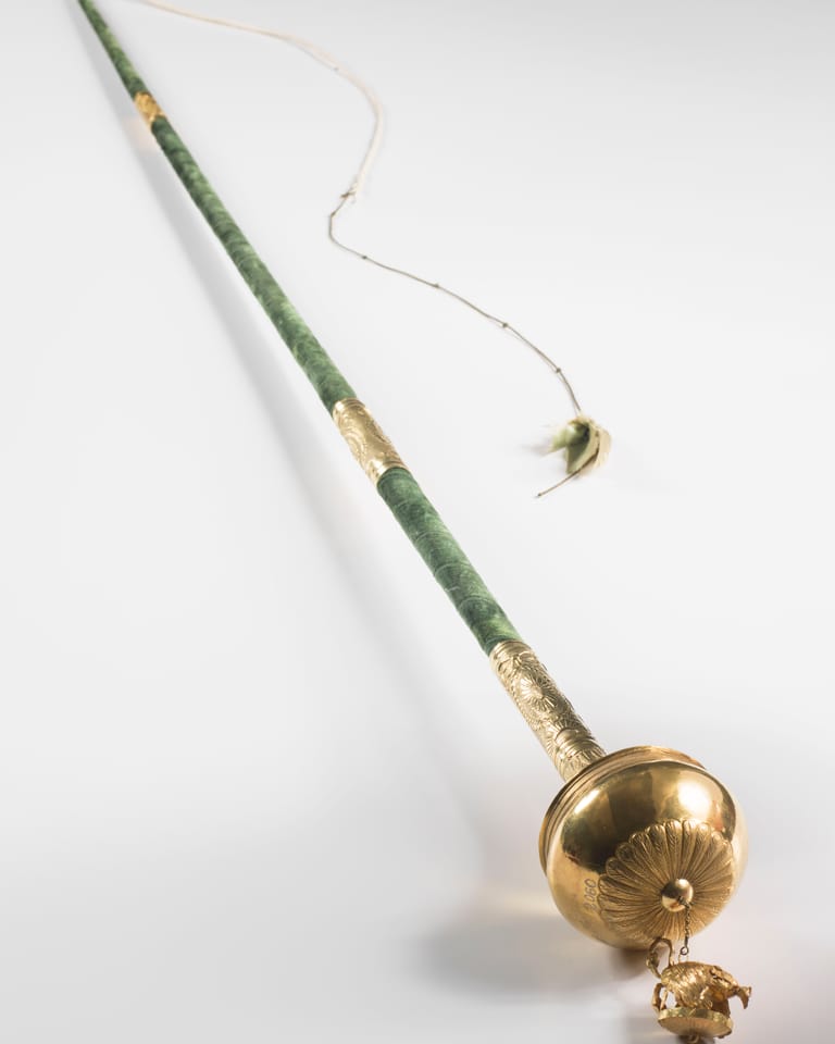 De Gouden Zweep