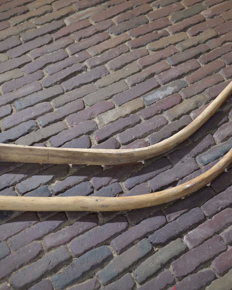 Gemanipuleerd dorsboompje