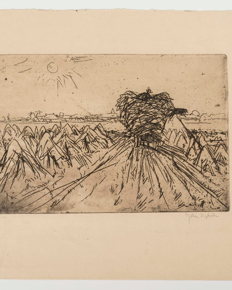 Oogstlandschap