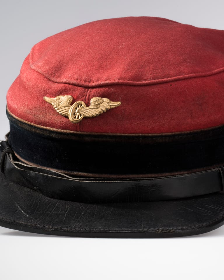 Pet vol paardenhaar